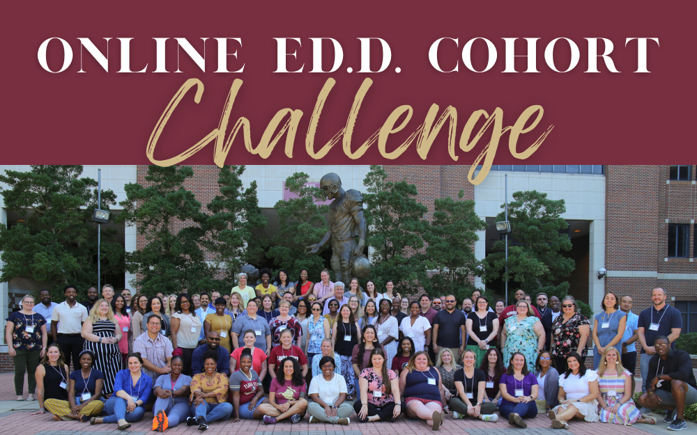 Online Ed.D. Cohort Support Challenge